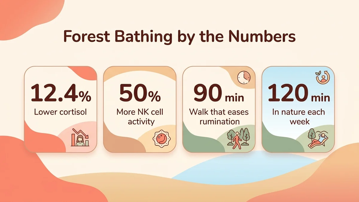 Infographic summarizing key statistics on forest bathing benefits: 12.4% lower cortisol, 50% more NK cell activity, 90-minute nature walk against rumination, 120 minutes a week in nature