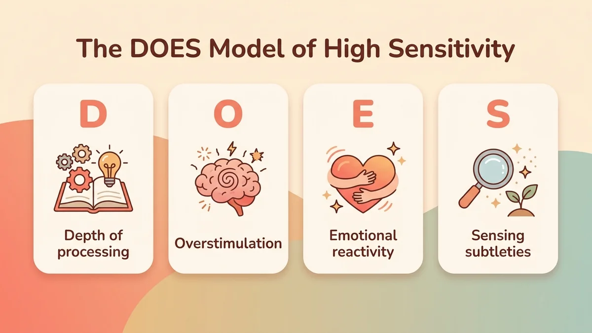 Infographic of Elaine Aron's DOES model with the 4 dimensions of high sensitivity